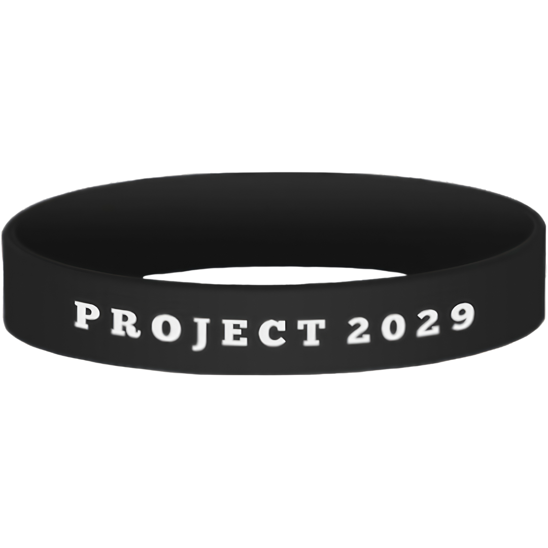 Project 2029 Bracelet