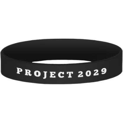 Project 2029 Bracelet