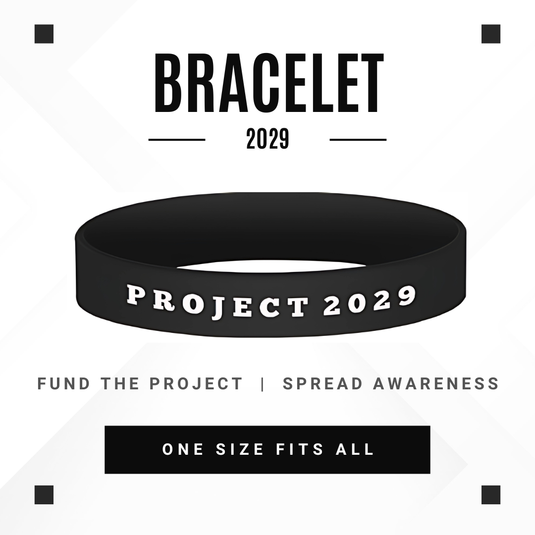 Project 2029 Bracelet