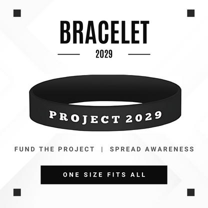 Project 2029 Bracelet